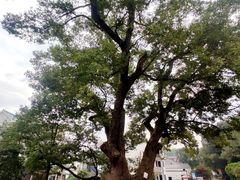 -清漾毛氏文化村