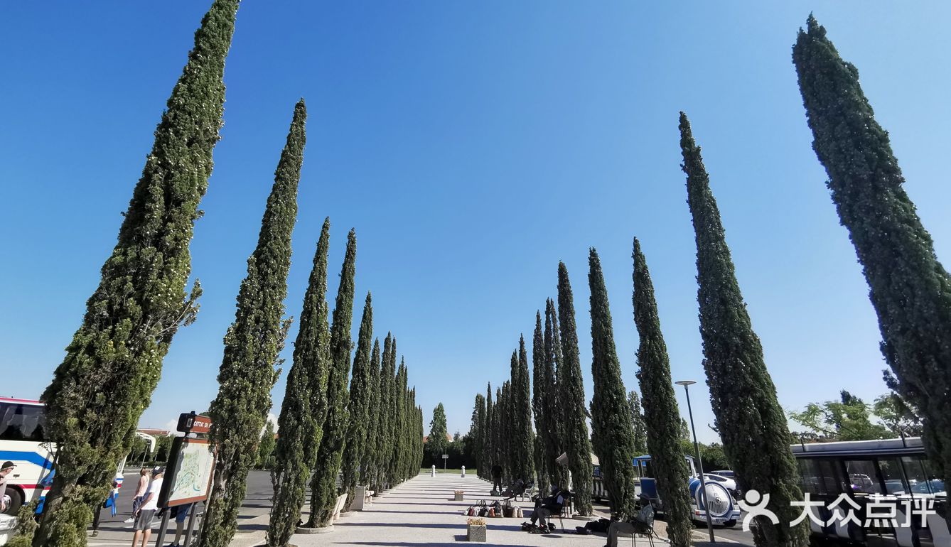 Day 8：比萨魅影，是热昏出换药