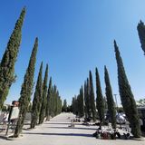 Day 8：比萨魅影，是热昏出换药