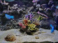 -正佳极地海洋世界