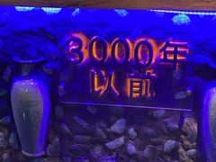 -很久以前羊肉串(打浦路店)