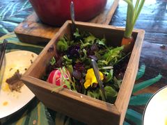 朱迪的菜园-烛影拾光观景餐厅·创意菜·摄影·小提琴(大唐不夜城店)