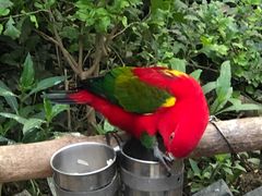 -南宫五洲植物乐园