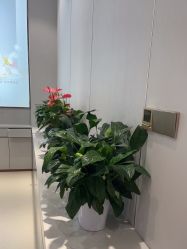 -禾丽康美医疗美容医院
