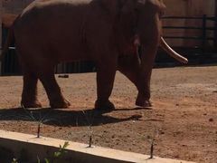 -昆明动物园
