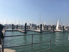 -五缘湾游艇帆船俱乐部