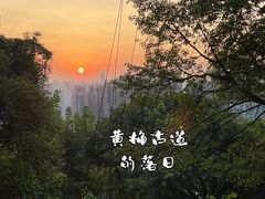 -南山植物园