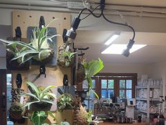 -本無咖啡·BeanWood Coffee