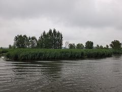 -白洋淀风景区