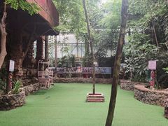 -呀路古热带植物园