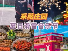 -采薇庄园四季滑雪场