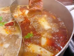 全牛鸳鸯锅-筋头巴脑牛一锅(朝阳路总店)