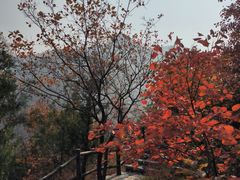 -周口店坡峰岭风景区