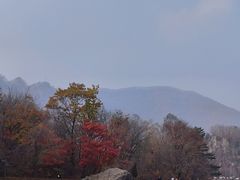 -关门山森林公园
