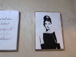 -演员的秘密·皮肤管理