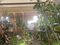 -一坐一忘云南菜(卓悦中心)