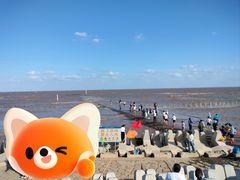 -南汇嘴观海公园