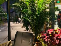 -星叶·东南亚料理(宁波万象汇店)
