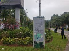-万绿园
