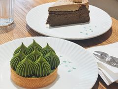 -猫里有甜