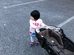 -野生动物园-停车场