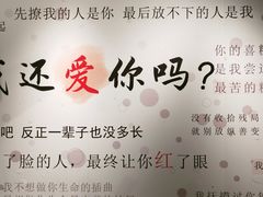-成都失恋馆