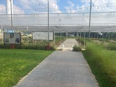 -Ohkajhu Organic Farm Sansai