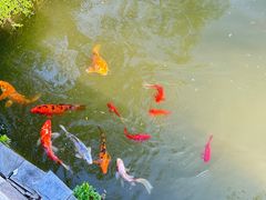 -芜湖方特东方神画