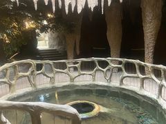 -南山植物园