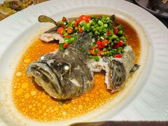 鲜花椒蒸海斑-惠食佳(滨江大公馆店)