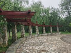 -绿堤公园