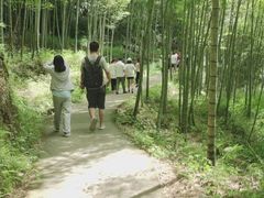 -千泷沟大瀑布旅游区
