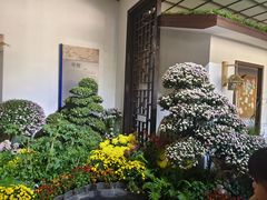 -杭州植物园
