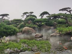 -罗红摄影艺术馆