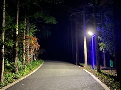 -东平国家森林公园