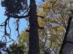 -终南山南五台景区