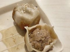 鲜肉生煎-咬不得高祖生煎·简餐(城站店)