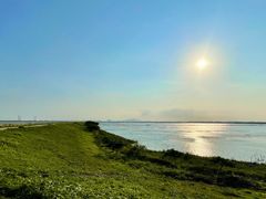 -大湾区中央湿地公园