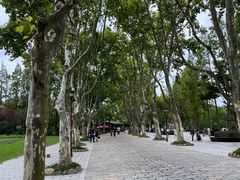 -上海野生动物园