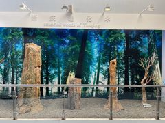 -延庆地质公园博物馆