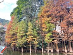-广州市帽峰山景区