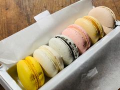 -BLACKSWAN黑天鹅(环球店)
