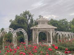 -东湖落雁景区