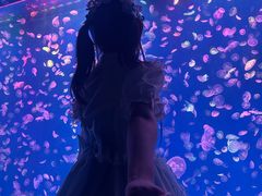 -江和美海洋公园