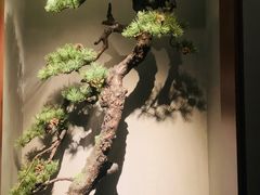 -觀芷隐轩