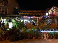 -Jungle Kitchen