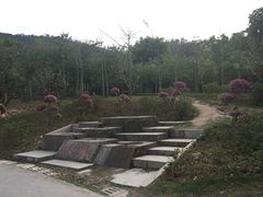 -火炉山森林公园