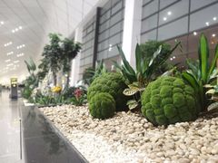-郑州新郑国际机场