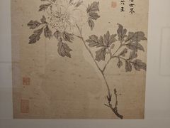 -天津美术学院-校史馆