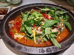 -黔渔翁豆花渎鱼(喷水池店)